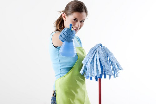 Domestic cleaning in SE10 for a tidy modern home