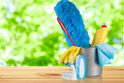 Professional cleaners in SE10 providing domestic cleaning services