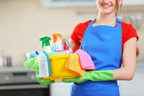 Deep carpet cleaning equipment used by a SE10 specialist