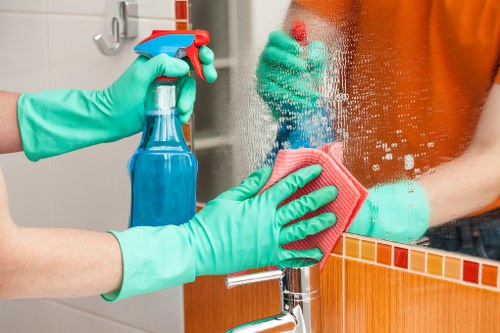 Professional home cleaners in SE10 working in a modern London living room