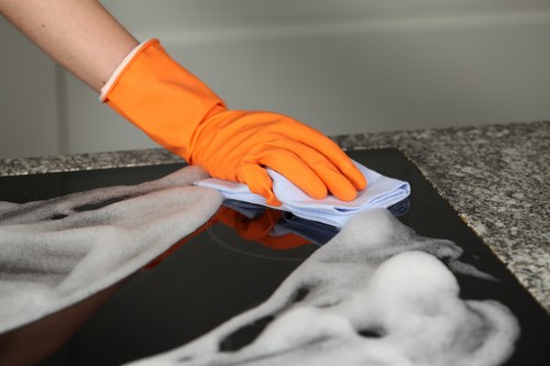 Local SE10 oven cleaning service for homes and businesses