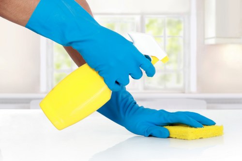 Carpet cleaner inspecting a prepared room before starting work