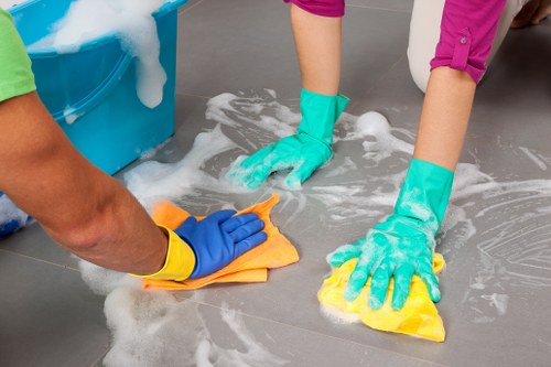 Professional cleaner in SE10 preparing a tidy living room