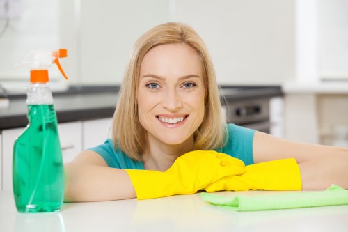 A tidy kitchen cleaned by SE10 domestic cleaning professionals