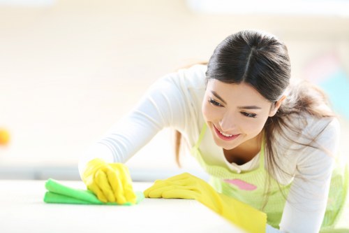 Experienced cleaners in SE10 working on a clean interior space