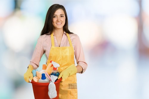 Regular window cleaning service in SE10 improving property appearance