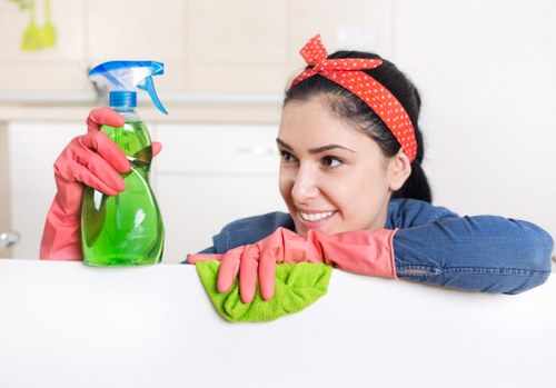 Deep domestic cleaning in SE10 bathroom and surfaces