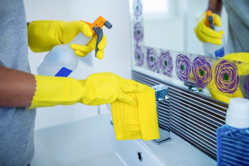 Cleaner maintaining hygiene in an SE10 office kitchen