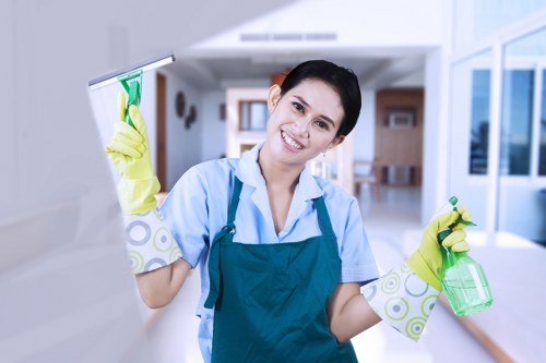 Stain removal and fabric care for upholstery in SE10 homes