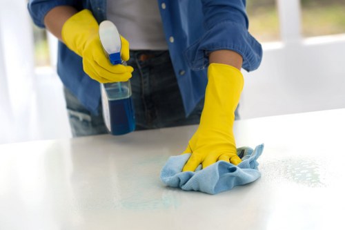 Regular cleaner in SE10 maintaining a spotless home environment