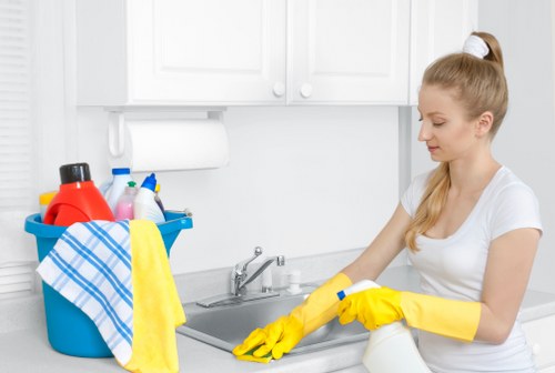 Flexible domestic cleaning in SE10 for family homes