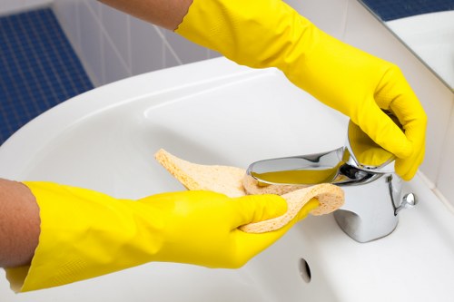 Regular home cleaning in SE10 for busy households