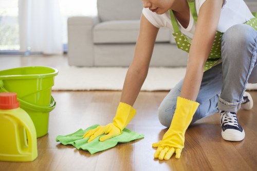 Local carpet cleaners SE10 cleaning a carpet in a modern interior