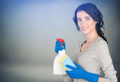 Oven and kitchen appliance cleaning for SE10 tenancy handover