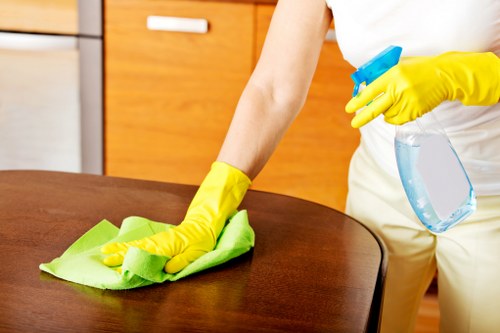 Professional carpet cleaner inspecting a room for safety risks